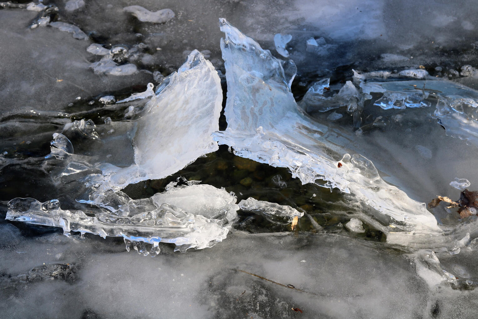 Untitled Untitled